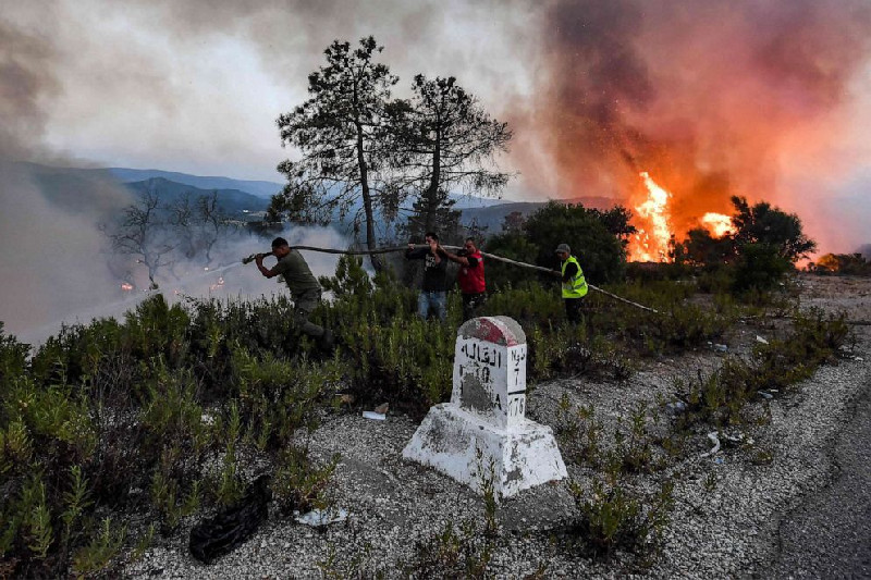 Kebakaran Hutan di Aljazair, 34 Orang Tewas dan Ribuan Mengungsi