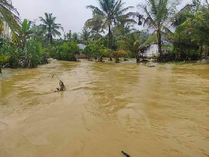Walhi: Banjir di Aceh Tenggara Bukti Kerusakan Hutan Semakin Masif
