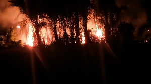 Kebakaran Landa Setengah Hektar Lahan Rumbia di Simpang Tiga, Aceh Besar