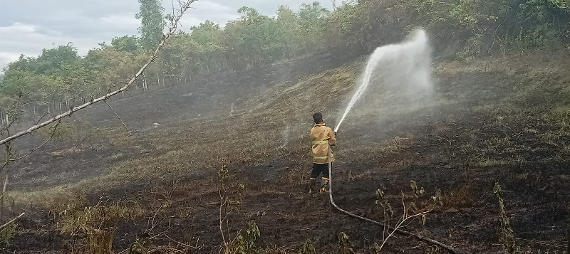 Kebakaran Hanguskan Tiga Hektar Lahan di Kuta Malaka Aceh Besar