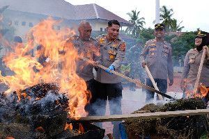 Polisi Musnahkan Sabu dan Ganja Senilai Rp 3,65 Miliar di Aceh Utara