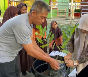 Pemkab Aceh Besar Bersama Siswa Tanam Pohon di Lingkungan Sekolah