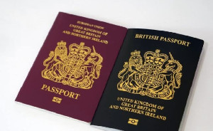 Tiga Orang Spesial Ini Bebas ke Luar Negeri Tanpa Paspor