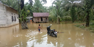 Hujan Deras, 6 Kecamatan di Nagan Raya Terendam Banjir