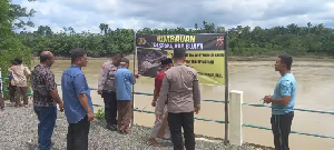 Buaya Muncul di Krueng Meureubo, Polsek Kaway XVI Pasang Imbauan Larangan Beraktivitas