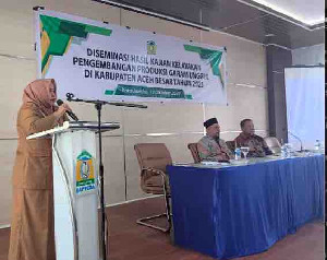 Pemerintah Aceh Besar Kembangkan Ekonomi Kreatif di Berbagai Sektor