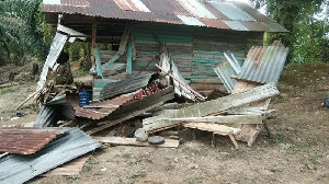 Desa Tanoh Mirah Aceh Barat Diamuk Gajah Hingga Pondok Petani Rusak