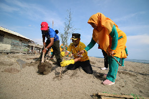 Tanam Pohon, Pj Walikota Lhokseumawe Ikut Kutip Sampah di Pantai Bersama Emak-Emak