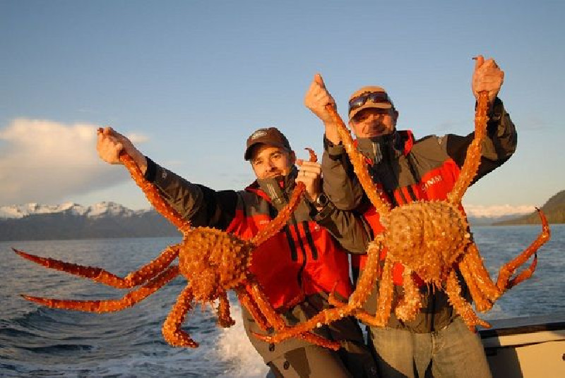 Ditutup Dua Tahun, Kini Nelayan Alaska Bisa Panen Kepiting Raja Merah