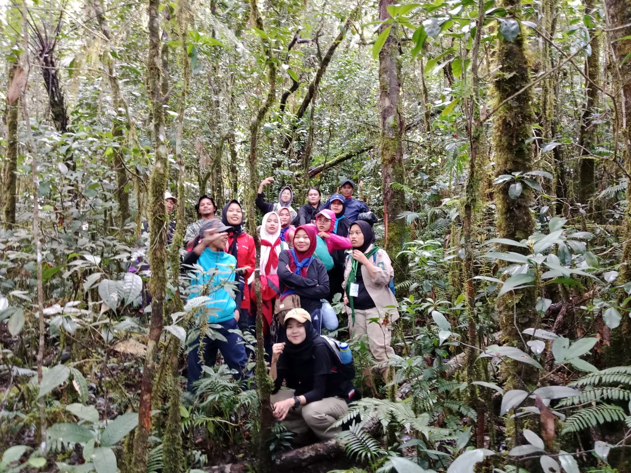 Kawasan Ekosistem Lueser Yang Hancur Menjadi Perhatian Serius Mapala Se Indonesia