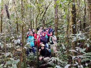 Kawasan Ekosistem Lueser Yang Hancur Menjadi Perhatian Serius Mapala Se Indonesia