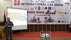 ICA Gelar Event Internasional Perdana Cat Show di Aceh