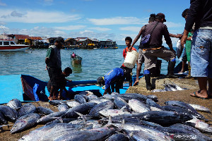 Nelayan Tak Kunjung Sejahtera, Pemerintah Diminta Serius Cari Solusi