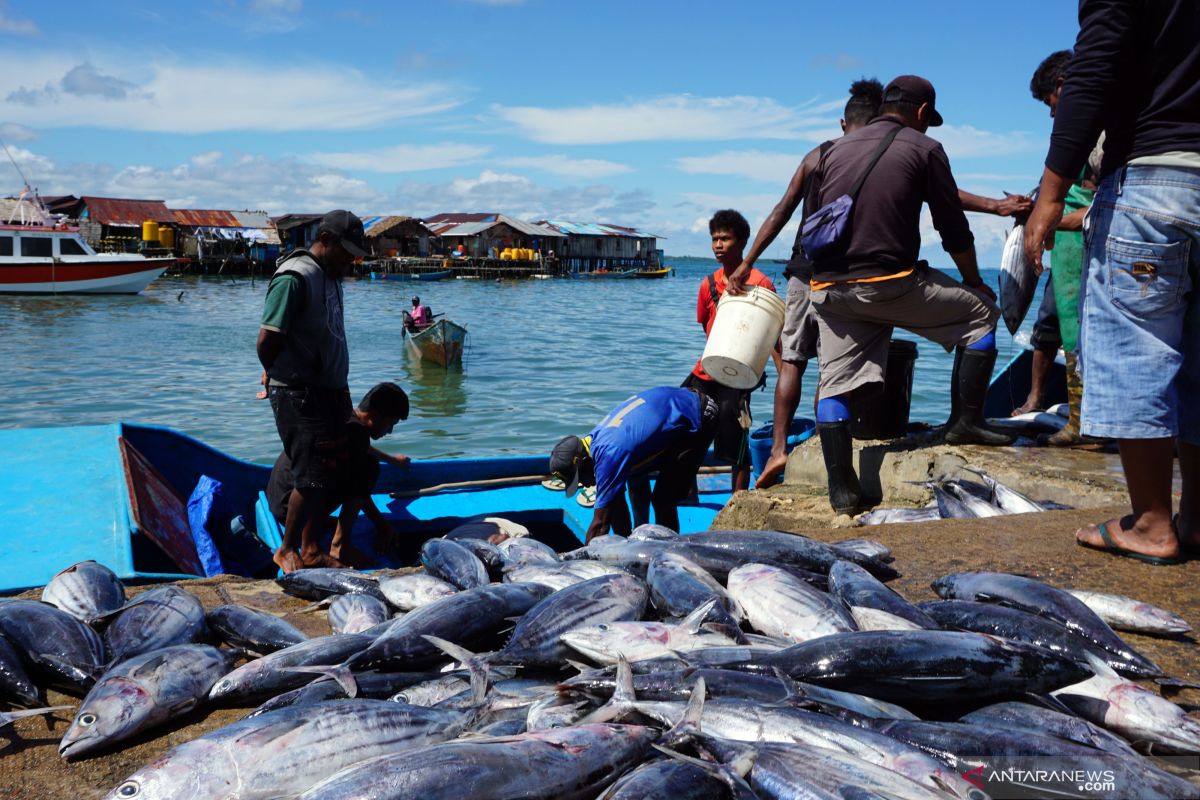 Nelayan Tak Kunjung Sejahtera, Pemerintah Diminta Serius Cari Solusi
