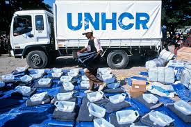 UNHCR Peringatkan Indonesia Bakal Didatangi Jutaan Imigran Rohingya