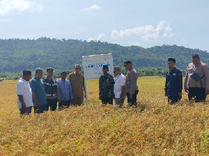 Telkom Indonesia Bantu 20 Unit Sumur Suntik untuk Pertanian di Pulo Aceh