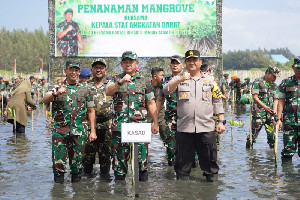 Lestarikan Lingkungan, Kasad Tanam 64.500 Bibit Mangrove Serentak se-Aceh