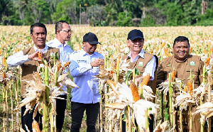 Mentan Amran Sebut Bantuan Peningkatan Pertanian untuk Aceh Rp176 Miliar