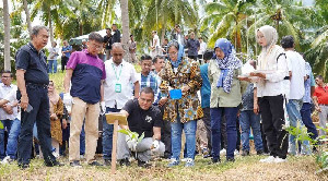 HUT ke-42, Pupuk Indonesia Tanam Pohon di Ekowisata Paya Nie Bireuen