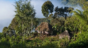 Perselisihan Suku di Dataran Tinggi, Puluhan Orang Ditembak Mati di Papua Nugini