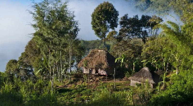 Perselisihan Suku di Dataran Tinggi, Puluhan Orang Ditembak Mati di Papua Nugini