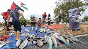 ASC Kembali Lelang Hasil Tangkapan Ikan Untuk Donasi Palestina