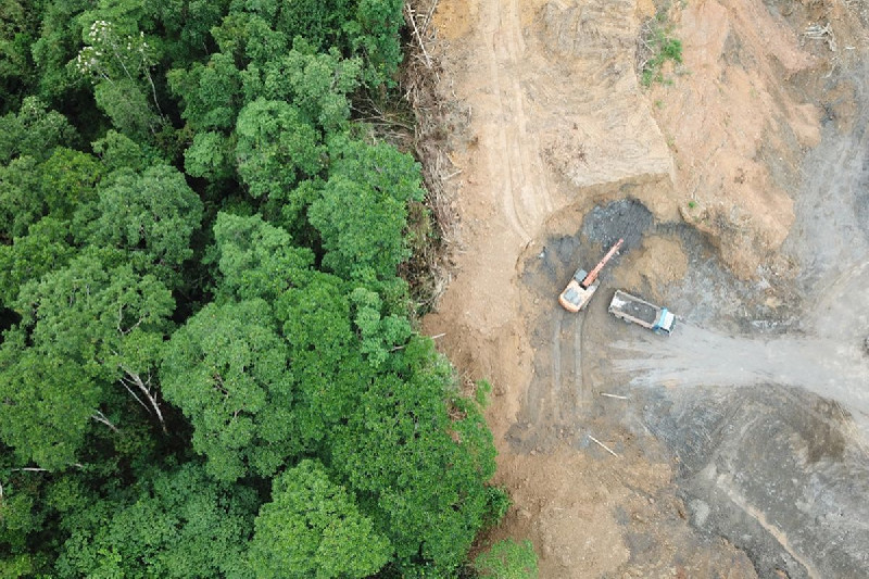 DLHK Aceh Terapkan Sembilan Langkah Cegah Deforestasi Hutan