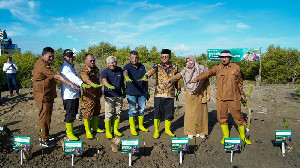 Peringatan Hari Bumi 2024, Indosat Tanam 15.000 Manggrove di Aceh