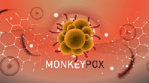 Wabah Virus B dari Monyet di Hong Kong