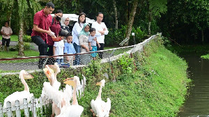 Presiden Jokowi Ajak Cucu Wisata, Berkenalan dengan Satwa