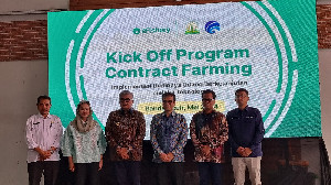 Genjot Produktivitas Hasil Panen, Petambak di Aceh Diharapkan Gunakan Teknologi Digital