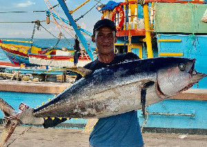 Komit Pengelolaaan Perikanan Tuna, Tingkat Kepatuhan Indonesia di IOTC Meningkat 82,6%