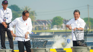 Diresmikan Presiden Jokowi, BINS Siap Jadi Lokomotif Industrialisasi Nila Salin di Indonesia