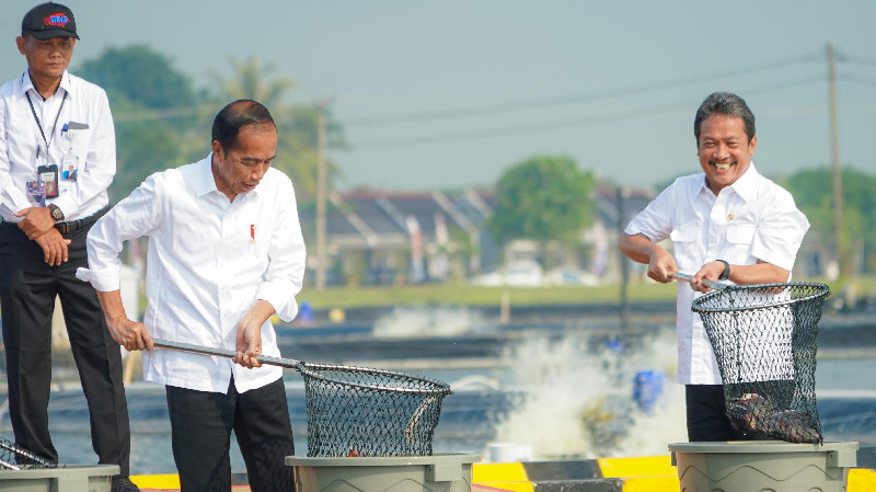 Diresmikan Presiden Jokowi, BINS Siap Jadi Lokomotif Industrialisasi Nila Salin di Indonesia
