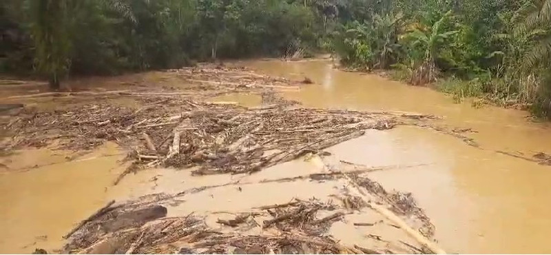 Sungai Singgersing Subulussalam Tercemar Diduga Dampak Land Clearing Perkebunan Sawit