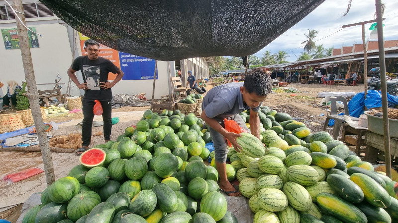 Semangka Pidie Banjiri Pasar Banda Aceh, Harga Murah dan Kualitas Terjamin