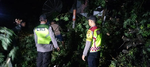 Dua Rumah di Aceh Utara Ambruk Akibat Tertimpa Pohon Kapuk