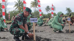 Kodim Nagan Raya Tanam 500 Mangrove di Pesisir Pantai