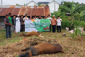 ICMI Aceh Salurkan 260 Paket Daging Kurban