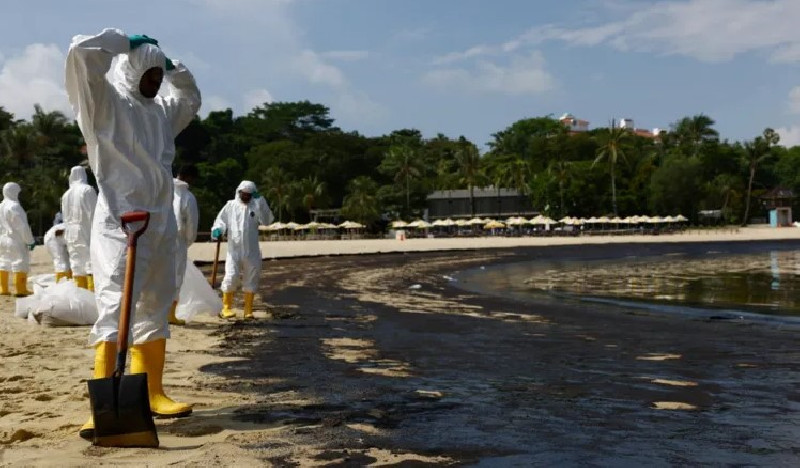 Singapura Berupaya Keras Bersihkan Pantai dari Tumpahan Minyak