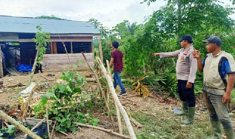 Kawanan Gajah Liar Masuk Pemukiman, Rusak Rumah dan Kebun Warga Peunaron