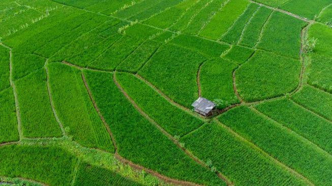 Pemerintah Siapkan 22.000 Hektar Lahan untuk Eks Kombatan GAM di Aceh Timur