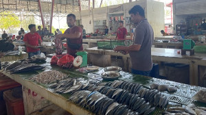 Angin Kencang, Stok Ikan di Pasar Almahirah Banda Aceh Menipis