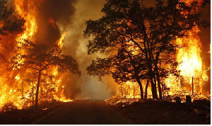 Kebakaran Hutan Landa California Selatan di tengah Gelombang Panas yang Menyengat