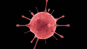 Mungkinkah Virus Oropouche Jadi Pandemi Selanjutnya? Ini Kata Pakar