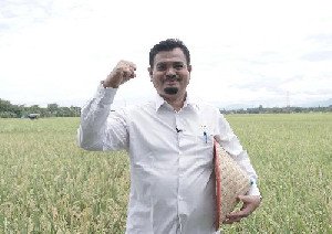 Atasi Gagal Panen Tanaman Padi, Pemkab Aceh Besar Manfaatkan Pompanisasi