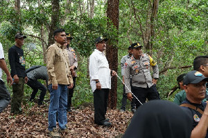 Siamang dan Kucing Emas Dilepasliarkan di Taman Wisata Alam Jantho