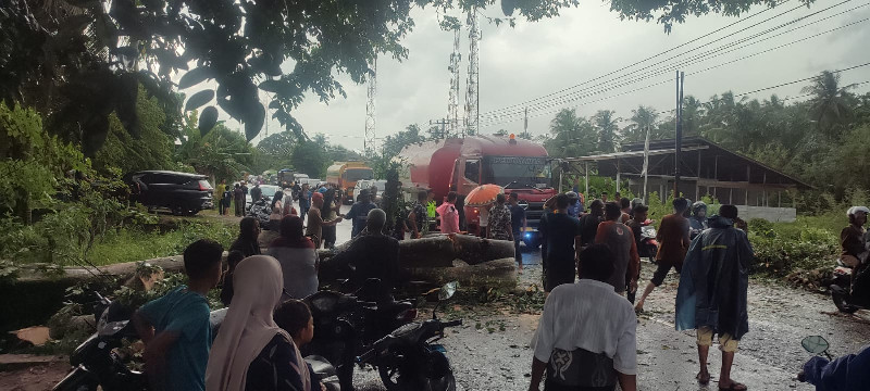 Puluhan Kios di Aceh Utara Hancur Dihantam Angin Kencang