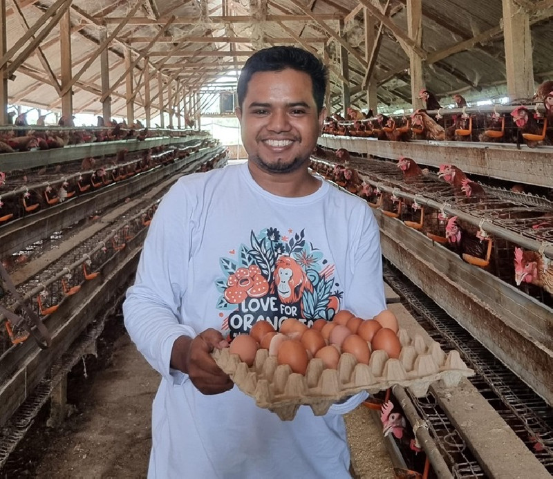 Edi Kandang, Peternakan Ayam Petelur yang Mengubah Wajah Ketahanan Pangan di Aceh