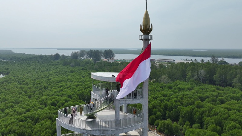 Sambut HUT RI, Bendera Merah Putih Raksasa Berkibar di Tower Mangrove Langsa